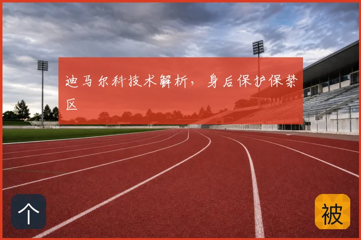 迪马尔科技术解析，身后保护保禁区